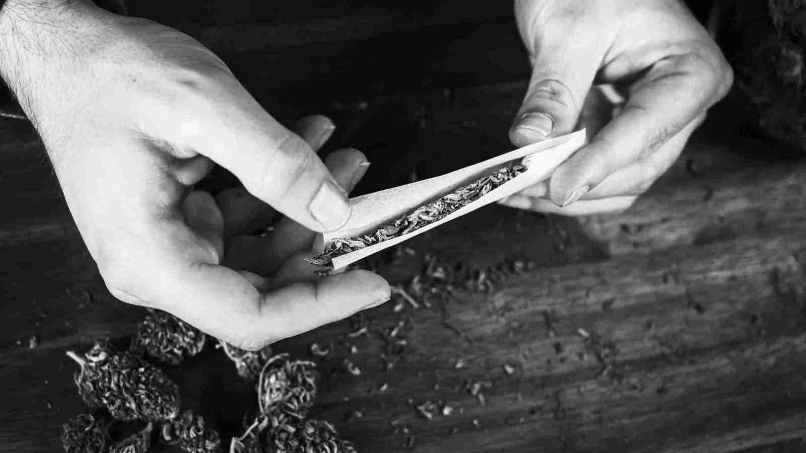 The Smoke and Mirrors of Pre-Rolls: Papers and Marketing Gimmicks