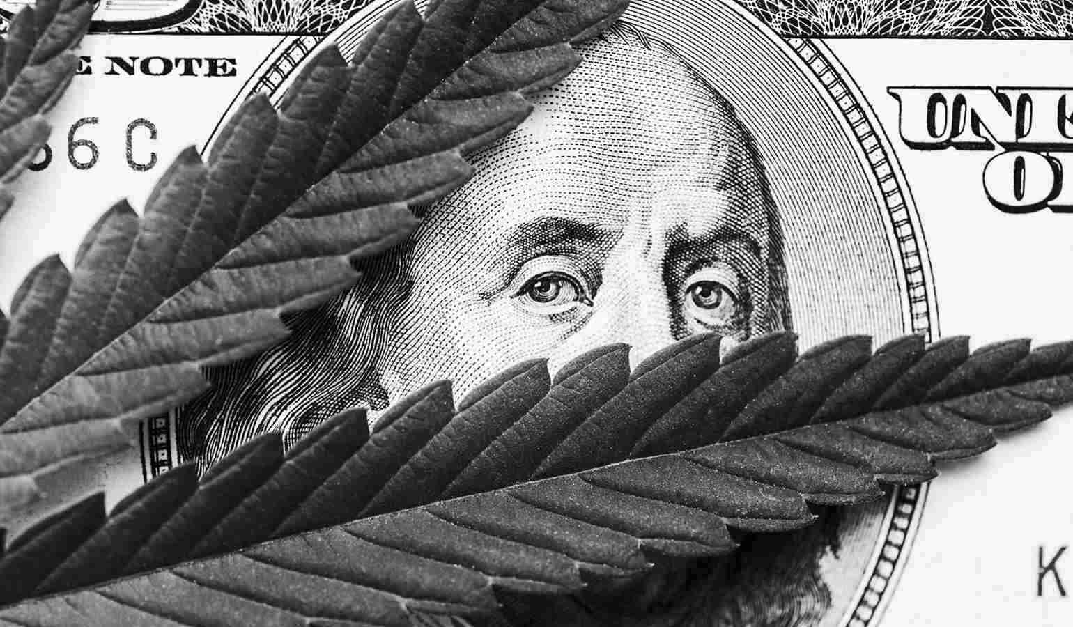 Why Is Cannabis Banking Even a Topic? 