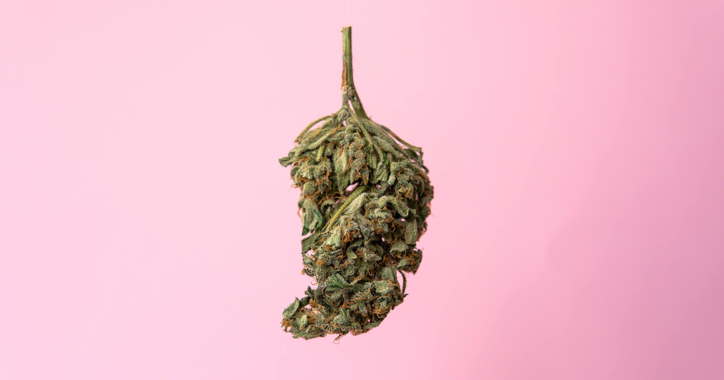 How to Powerfully Leverage Social Media to Promote Your Cannabis Brand