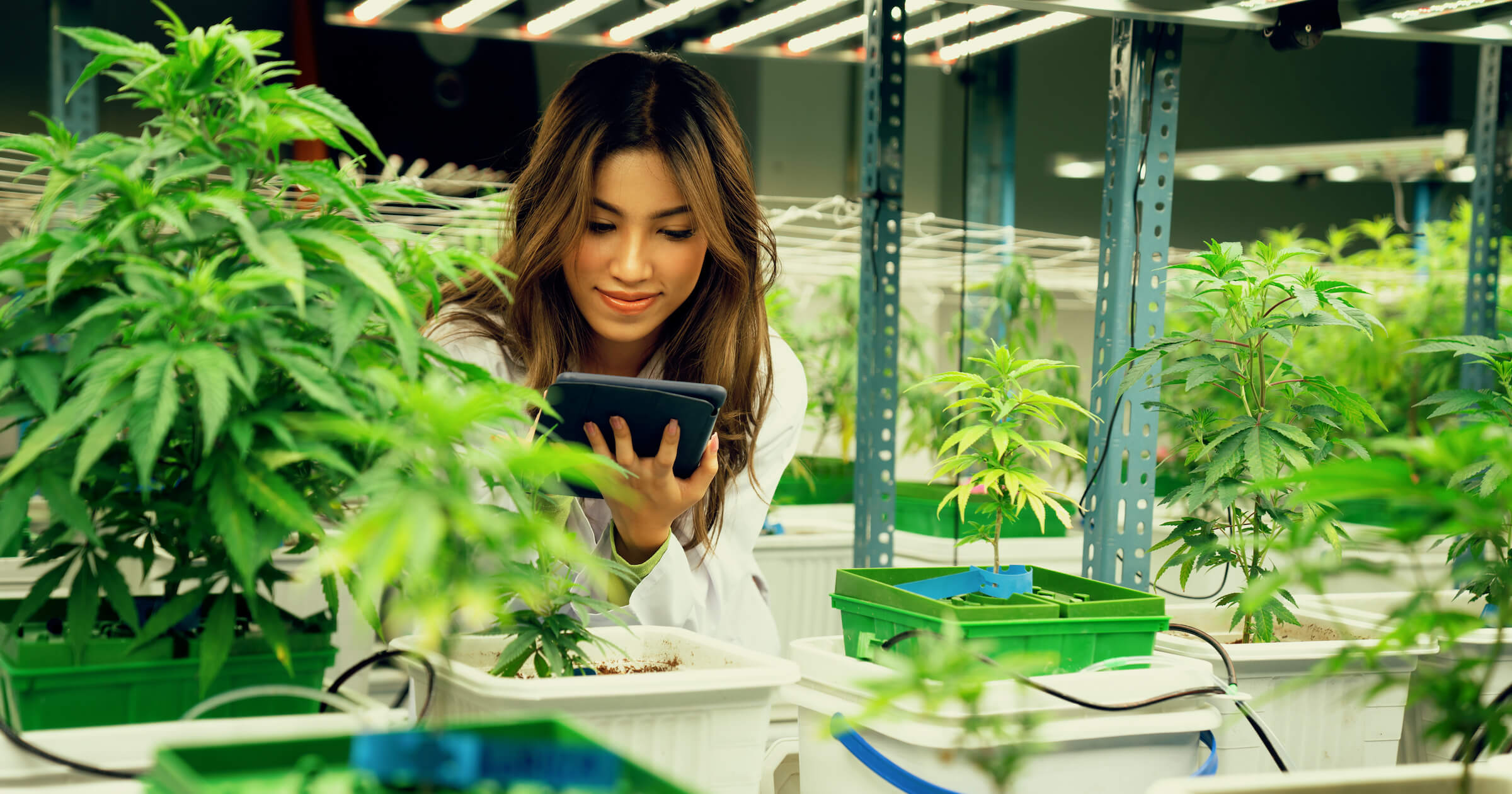 How Your Cannabis Business Can Create Positive Community Relationships