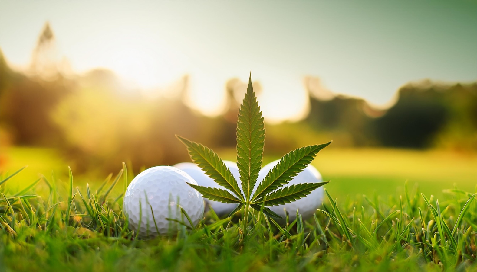 CBD for Atheletes: Rest & Recovery